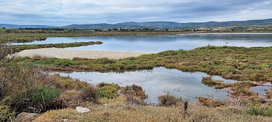 etangs et lagunes