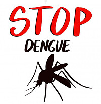 dengue