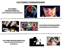 factor criminogeno