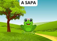 SAPA