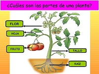 Ciencias Naturales