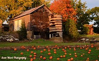 Michigan Barns