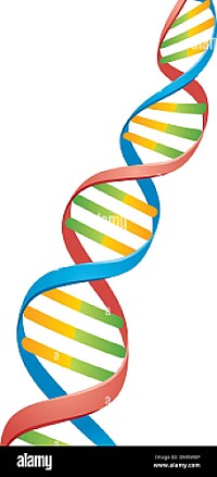 dna