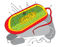 ciencias