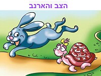 ×™×¨×“×Ÿ ×§×•× ×™×¡